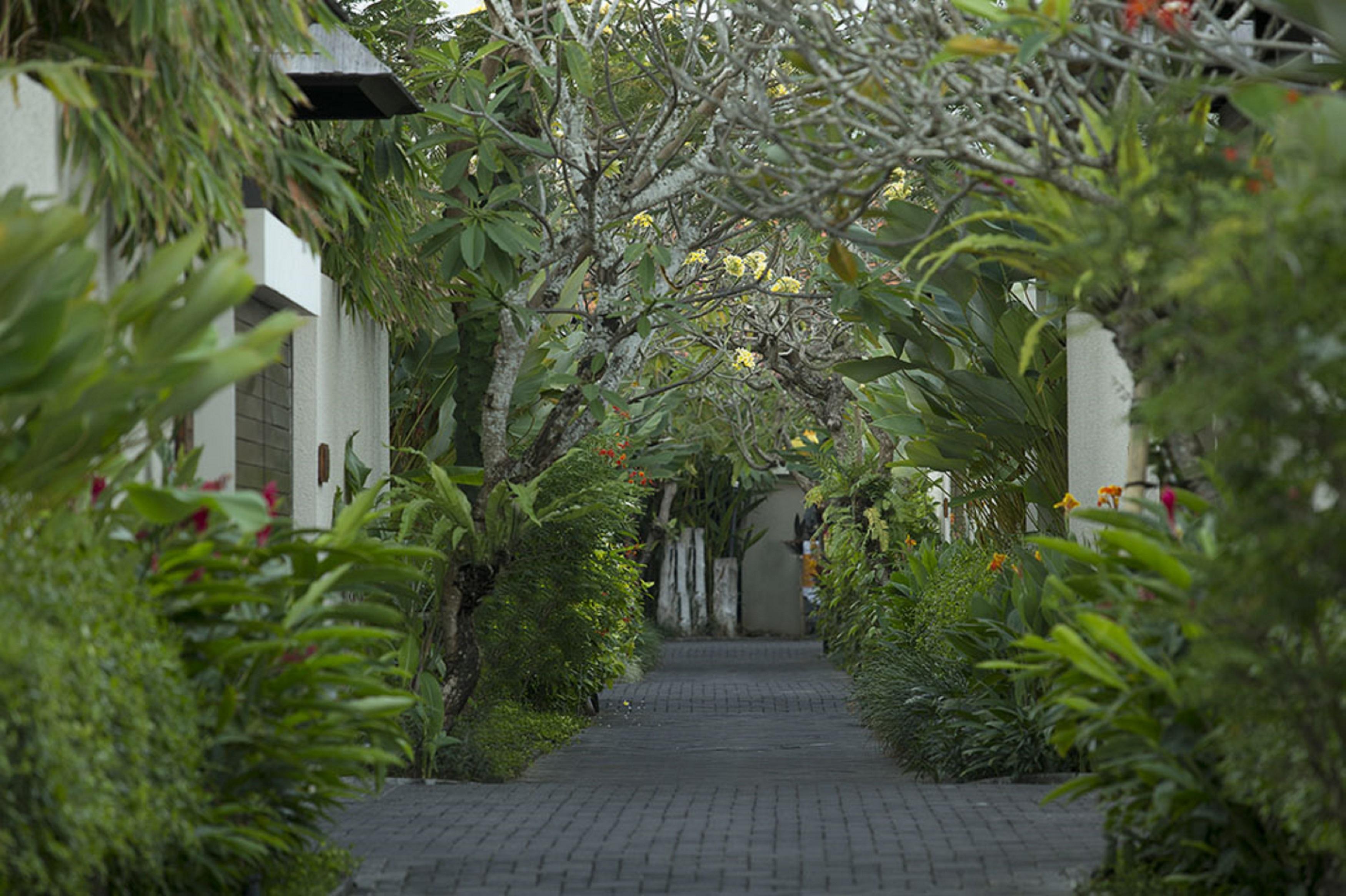 Berry Romantic * Seminyak (Bali)